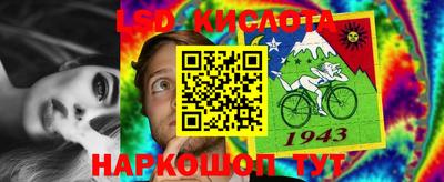 шишки Балахна