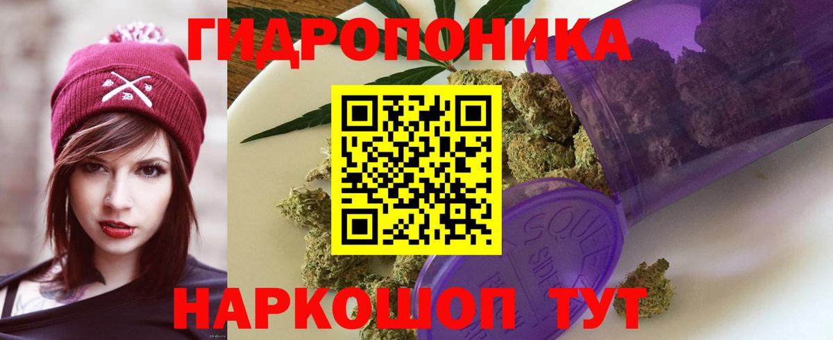 Грозный  Конопля SATIVA & INDICA  Бошки Шишки VHQ  Вход с VPN  Каннабис сатива  Канабис Bruce Banner 